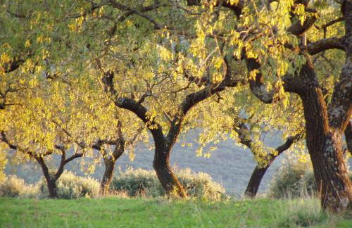 La Teulera - Foto 17