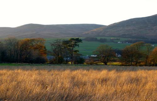 Lapwing, Skylark & Curlew Seaside Chalets - Foto 29