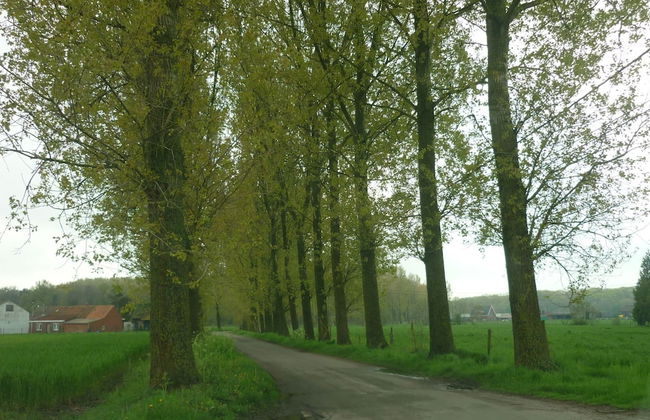 Quiet Cottage near Woods - Photo 35