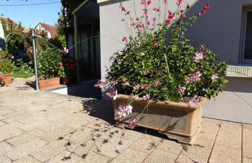 Studio Rouffach - Foto 20