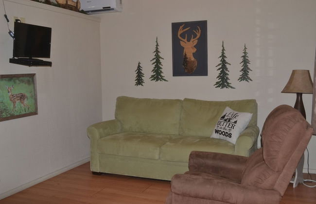 Echo Canyon Resort & Marina - Foto 61