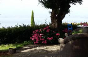 Villa La Moraiola - Foto 35