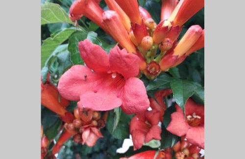 Le Clos 25 - Foto 37