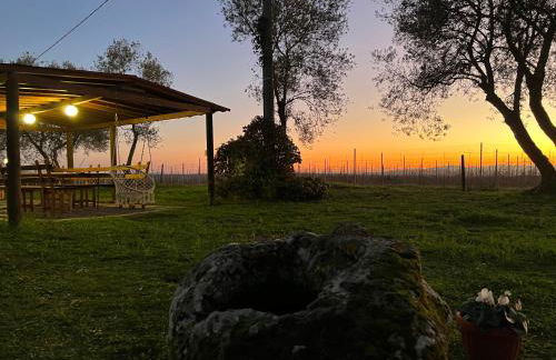 Agriturismo Tenuta Roccaccia - Foto 38