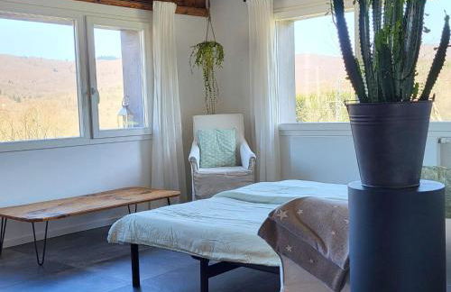 Coeurvert Calme en clairière - Ruhe in der Waldlichtung - Forest clearing stillness - Foto 65