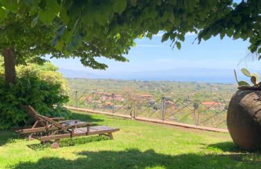 Il palmento - Foto 45