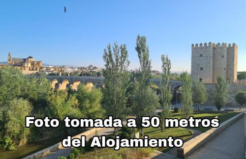 Albolafia junto Puente Romano - Foto 43
