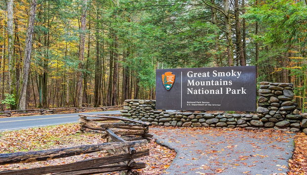 Eden's View by Jackson Mountain Rentals - Foto 5, Servicios del alojamiento