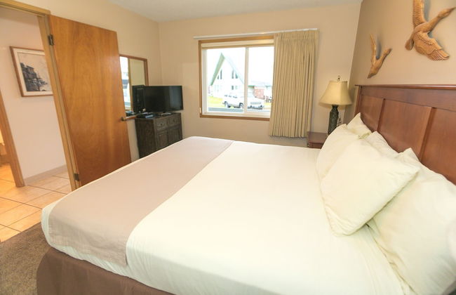 The Grey Gull - Foto 47