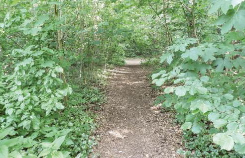 Holiday Apartment In Lubeck - Foto 18