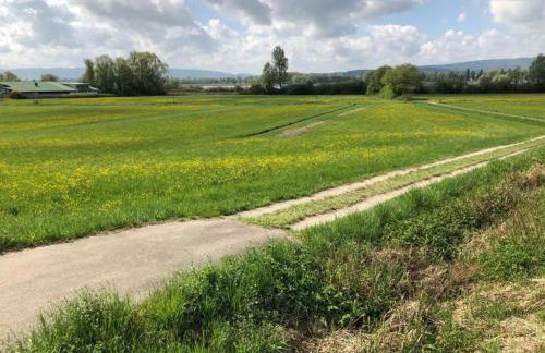 Fewo Seenah - Foto 21