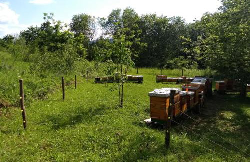 Dorina hiža - Foto 53