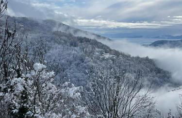 Passione Peonie Apartment - Foto 31