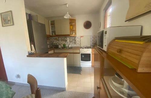 Apartman Silna your new home with terrace and garden - Foto 42