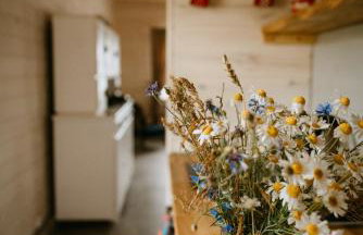 Błękitny Domek- dom i dwa oddzielne apartamenty - Foto 21