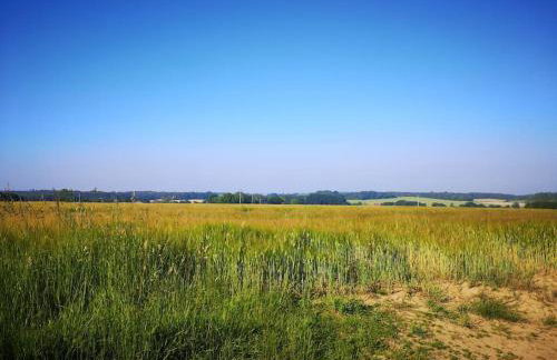 Heath Cottage Lower Southrepps north Norfolk - Foto 19