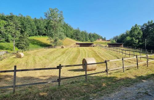 Oasi di pace nella Val di Taro - Photo 4