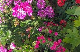 Casa Rural Recreo - Foto 7