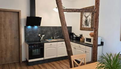 Gästehaus Hirschstein - Hochwertige Ferienwohnung in sehr ruhiger Lage direkt am Fluss Göltzsch - Foto 5, stove