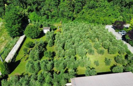 Villa Fiorita a Puegnago - BGL - Foto 32