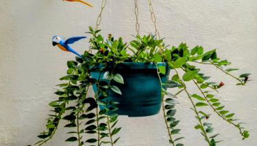 Espaço Itacoatiara - Foto 5, Garden