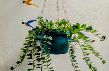 Espaço Itacoatiara - Foto 5