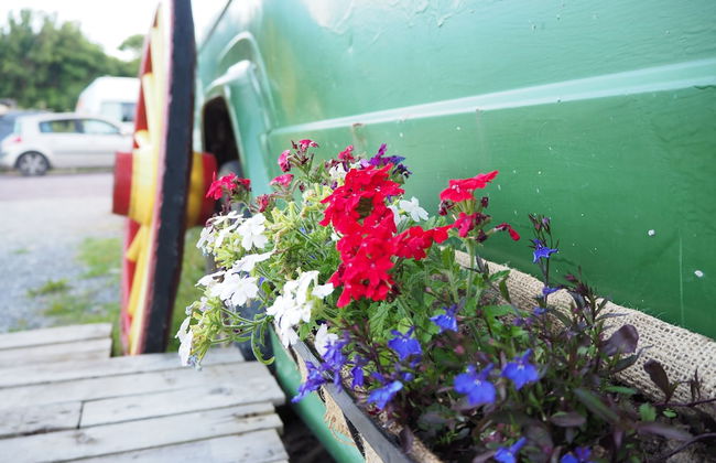 Inch Hideaway Eco Glamping - Foto 27