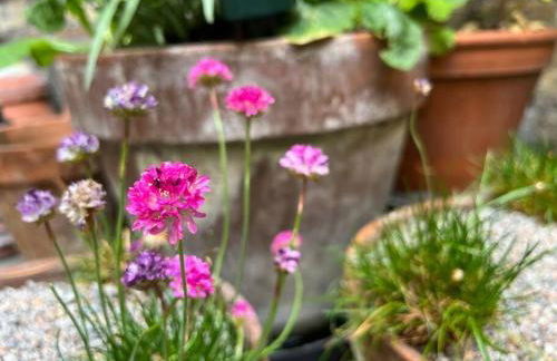 Kings Cross, self-contained house & private garden - Foto 36