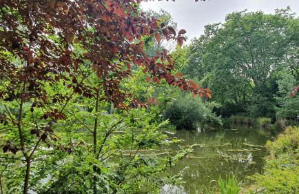 Caldas da Rainha's Green & White - Foto 32