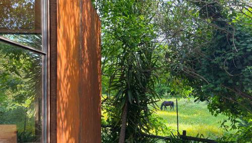 Springfield Lodge - Foto 5, Garden view