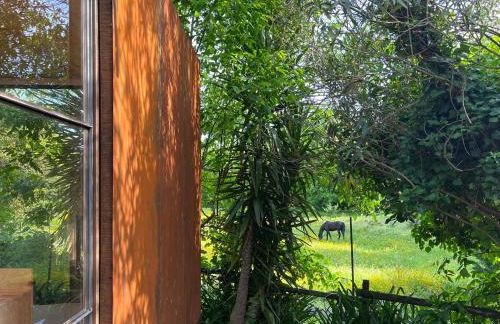 Springfield Lodge - Foto 5