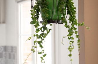 Détente et Découvertes en Pro ou en Famille - Foto 16