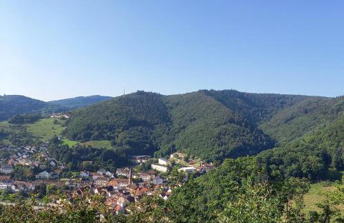 tiny house Pfalz Wellness und Wanderurlaub - Foto 45