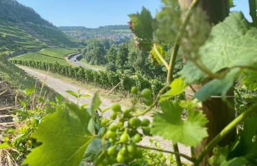 Wunderschönes Studio für bis zu 2 Personen - Foto 26