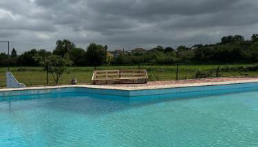 Santuário SOS Animal - Foto 5