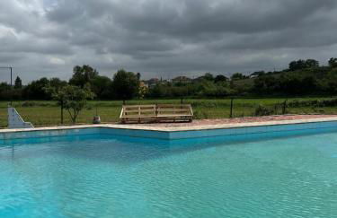 Santuário SOS Animal - Foto 5