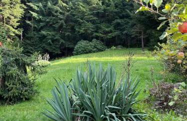 Chata pod lasem z balią i sauną - Foto 32