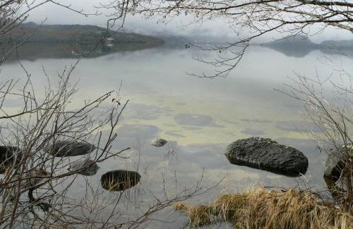El Taller De La Seda - Foto 31