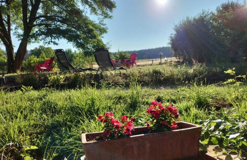 Les capucines la souris des champs - Foto 24