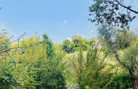 Podere Il Piantoneto - Foto 28