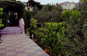 Apartments Elena - Foto 31