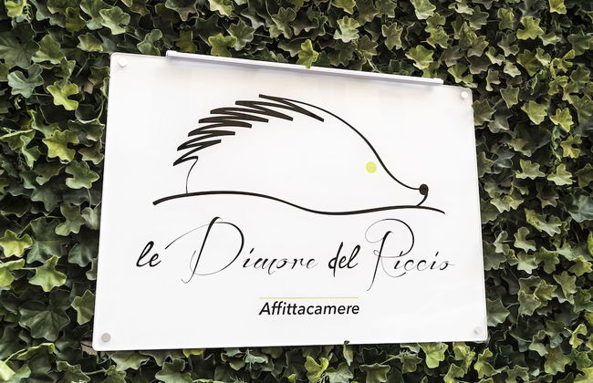 Affittacamere Le Dimore del Riccio - Foto 27