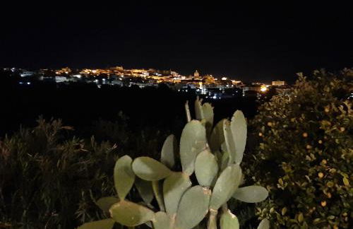 Il Primo Fiore - Foto 49