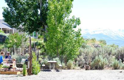 Rustic Trailer Rental on the Shores of Bridgeport Reservoir, California - Photo 10