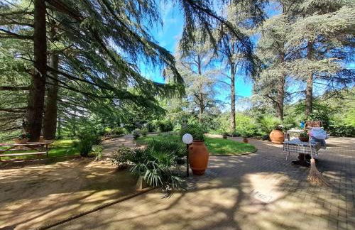 LA BARCA NEL FRUTTETO Natura e relax in collina - Foto 16