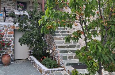 Dreamcatcher - Photo 38