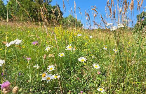 Apartman Barbara - Foto 26