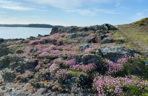 Entire guest suite in Four Mile Bridge, Rhoscolyn - Foto 17