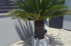 House Vallis Aurea - Foto 43