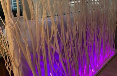 Eva suite Vip excellent studio 1 - Foto 11